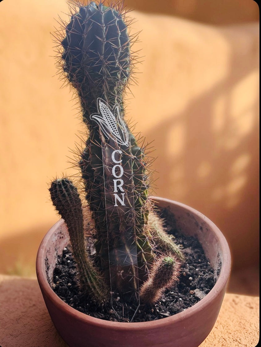 Acrylic gardening stakes