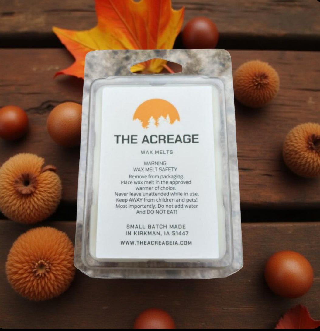 Wax melt - spiced Acorn