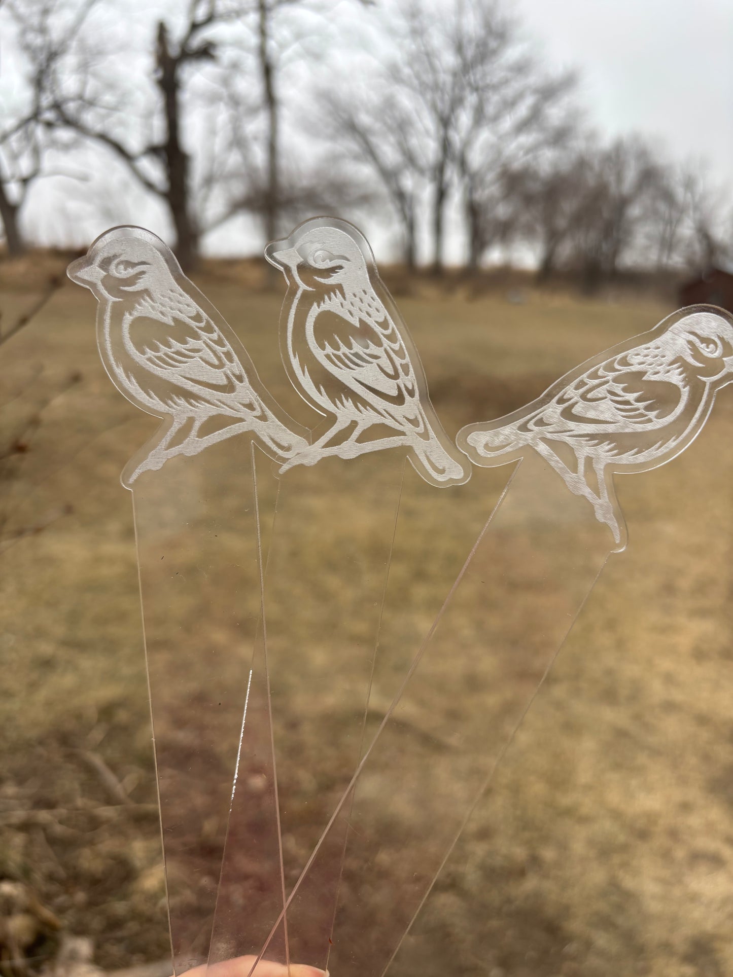 Acrylic gardening stakes